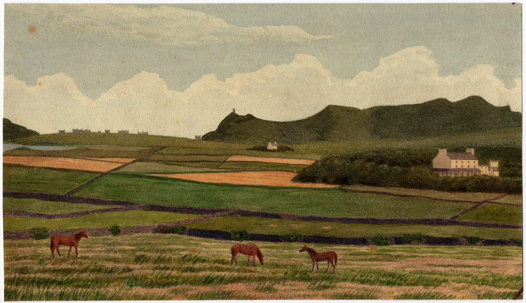 Detail of Bradda Head by Robert Evans Creer