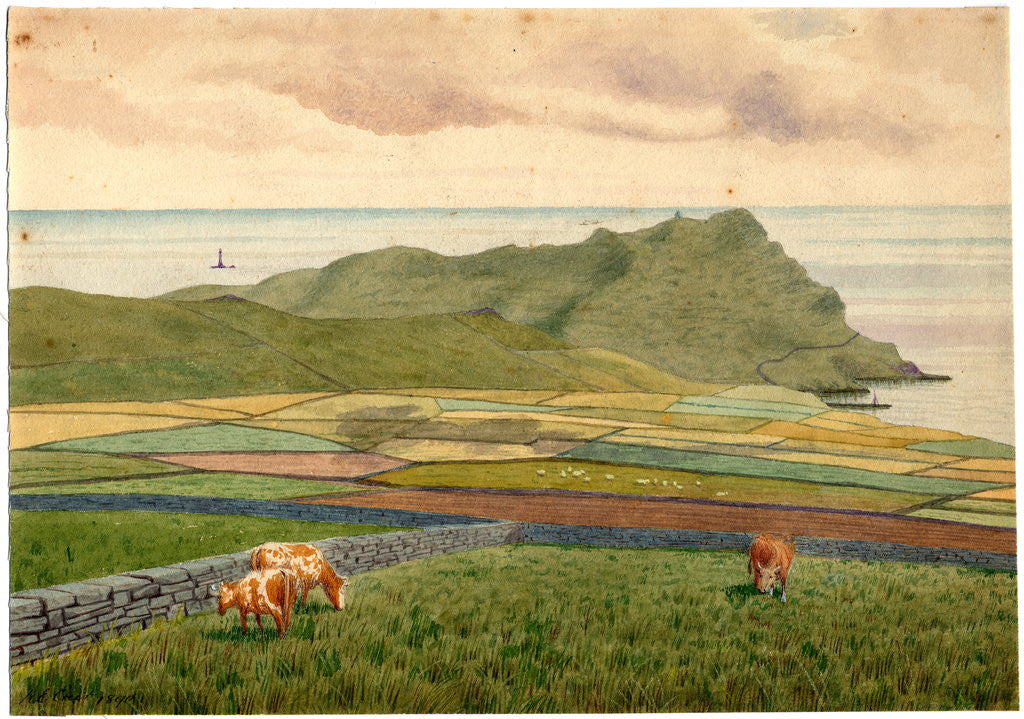 Detail of Calf of Man From Cregneash by Robert Evans Creer