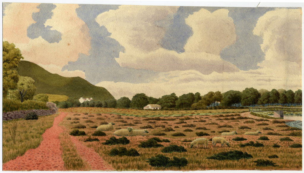 Detail of Untitled by Robert Evans Creer