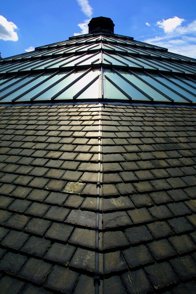 Detail of Roofscape of the V&A Museum by Anonymous
