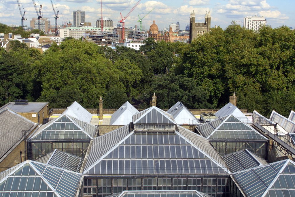 Detail of Roofscape of the V&A Museum by Anonymous