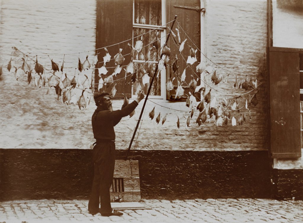 Detail of Fish Drying by Andrew Pitcairn-Knowles