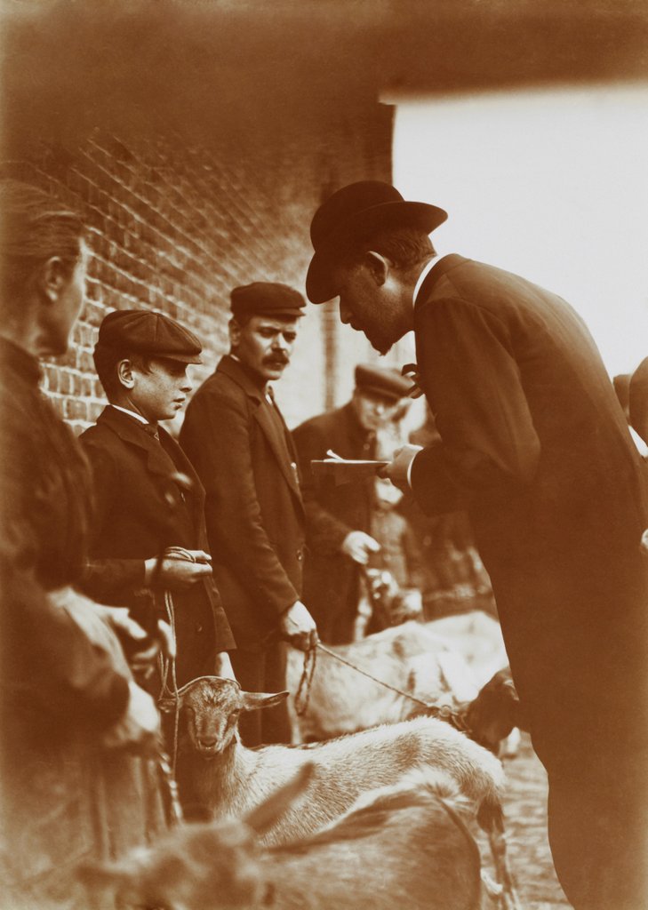 Detail of The Judge by Andrew Pitcairn-Knowles