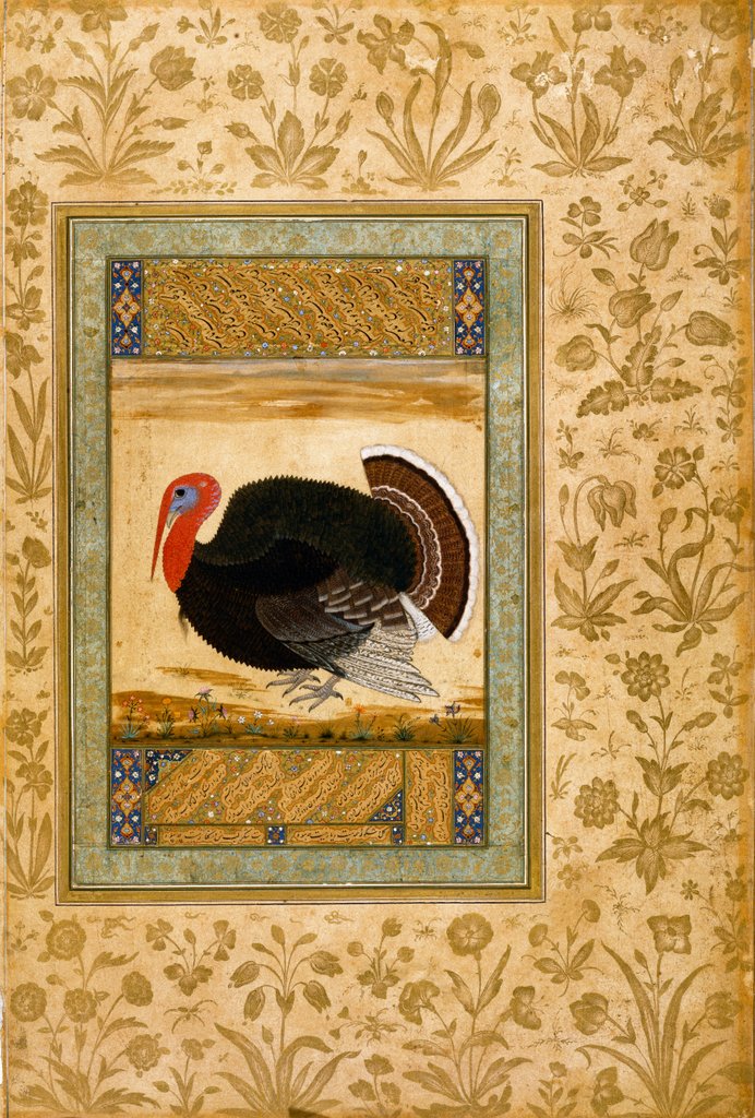Detail of The arrival of the turkey from Goa by Ustad Mansur