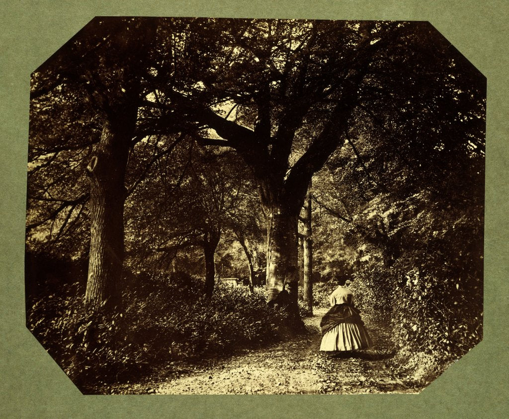 Detail of Isabella Grace Walking in The Woods by Clementina Hawarden