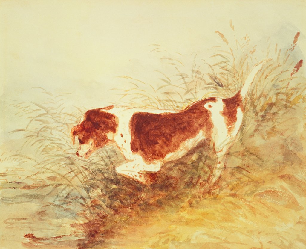 Detail of Dog Watching a Rat in the Water at Dedham by John Constable