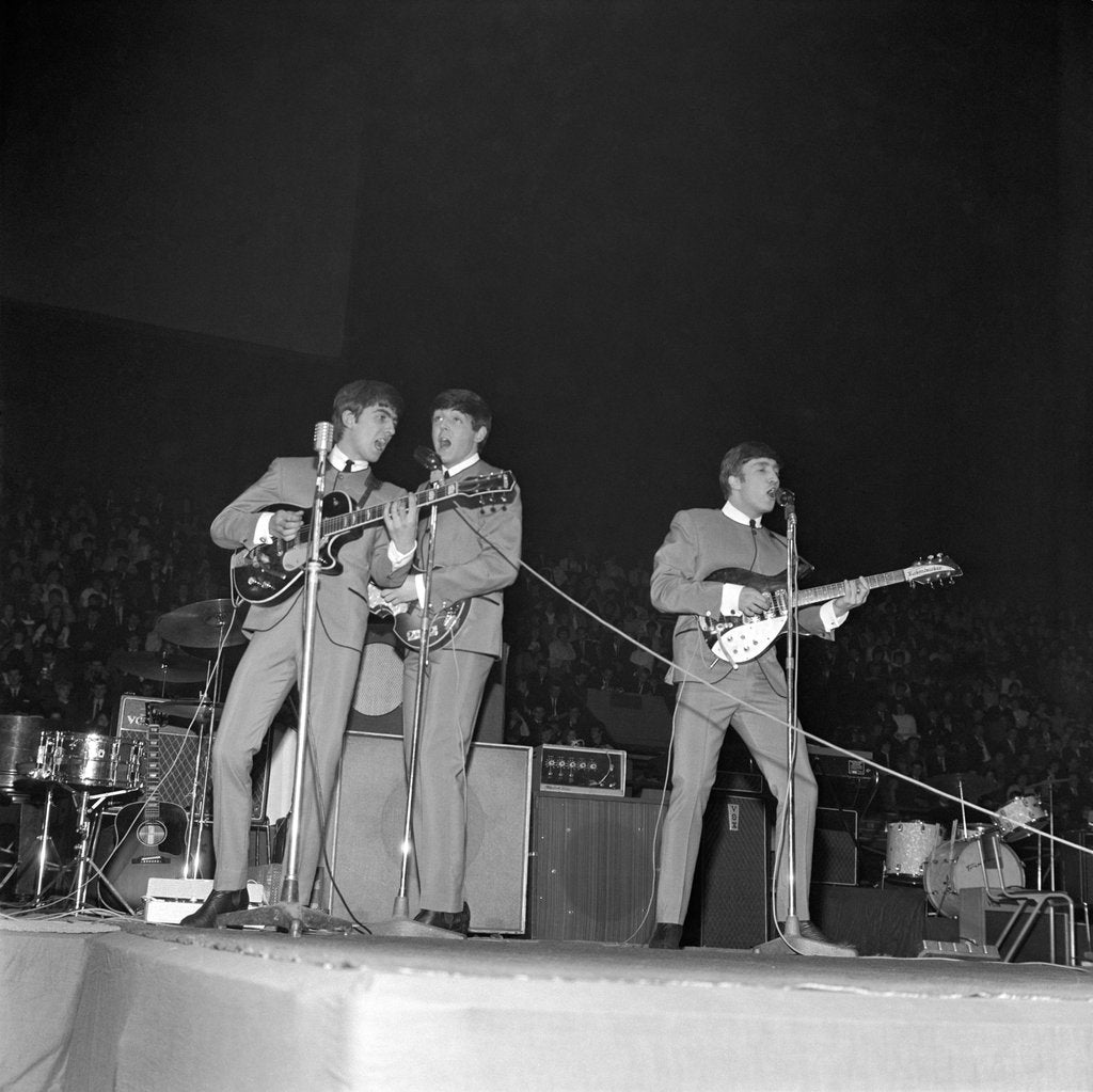 Detail of The Beatles by Harry Hammond