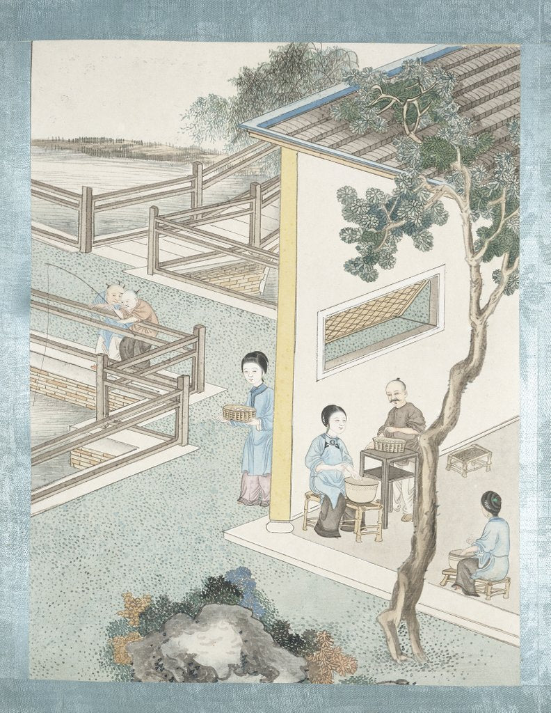 Detail of Washing the eggs by Jun Wu