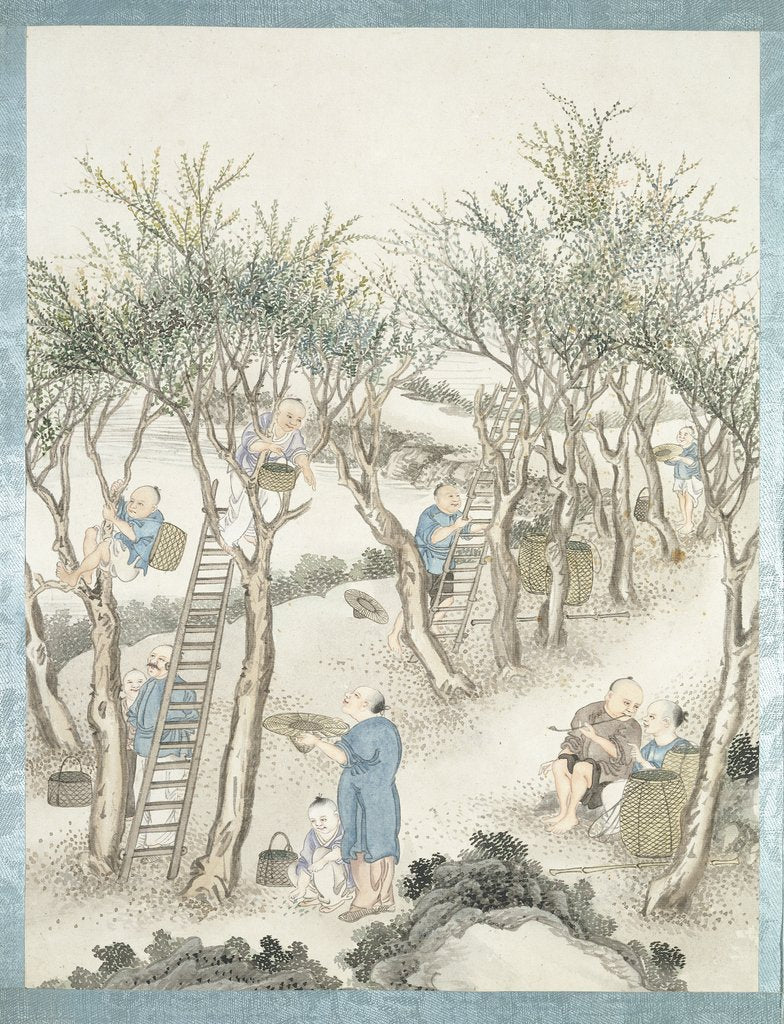 Detail of Gathering of mulberry leaves by Jun Wu