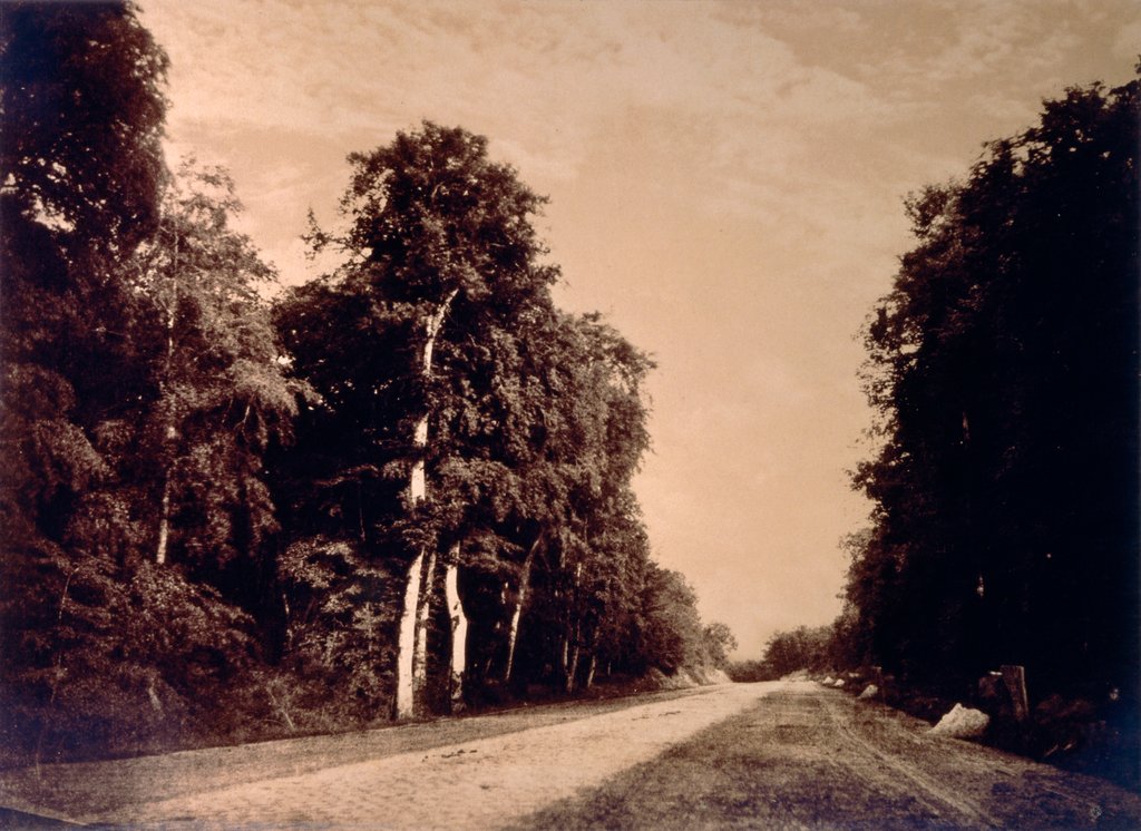 Detail of The Road to Chailly, Forest of Fontainebleau by Gustave Le Gray
