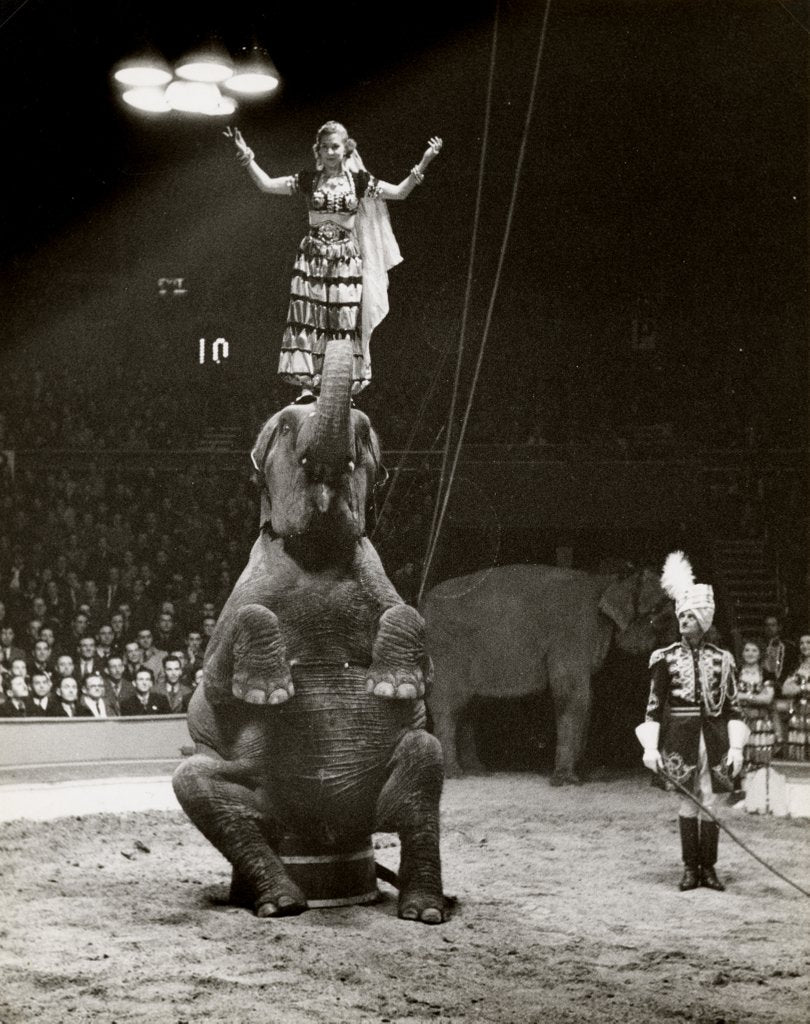 Detail of Elephant Ballet in Bertram Mills' Circus by Baron Nicholas de Racozcy