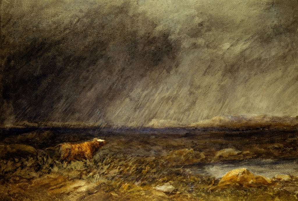Detail of The Challenge: A Bull in a Storm on the Moor by David Cox The Elder