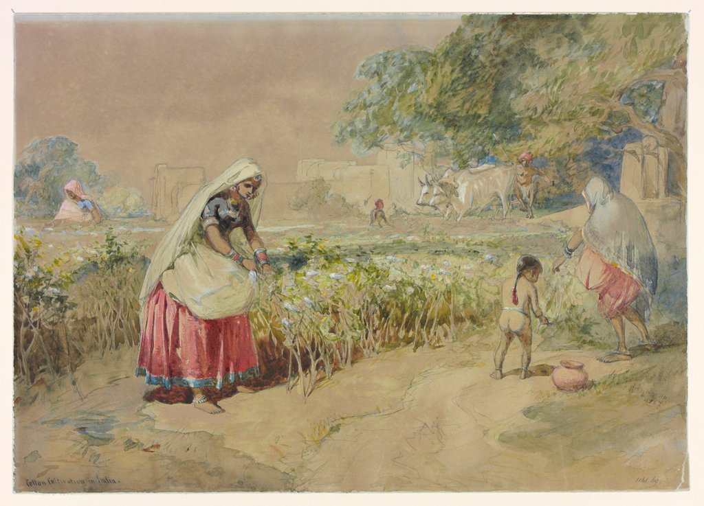 Detail of Cotton cultivation in India by William Simpson
