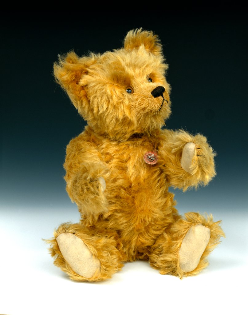 Detail of Yes/No teddy bear by Shuco