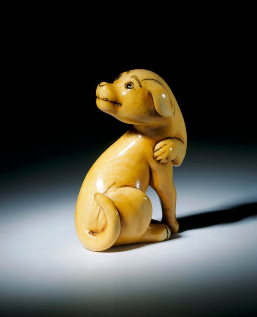 Detail of Netsuke figure of a dog by Unknown