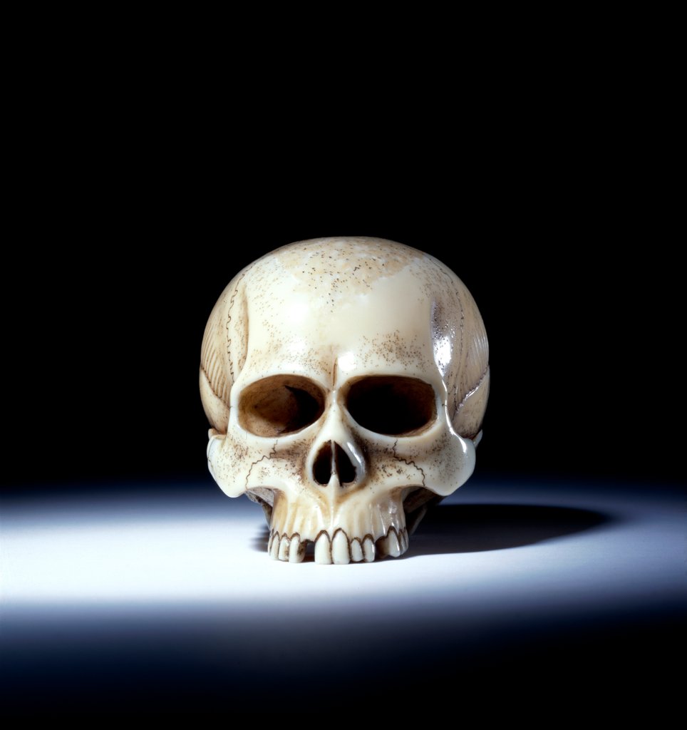 Detail of Netsuke. Japan, 19th century. by Unknown