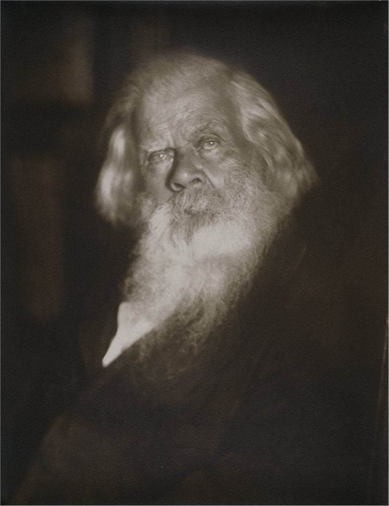 Detail of Sir Henry Parkes by H. Walter Barnett
