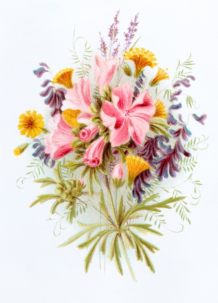 Detail of Nipplewort, Musk Marrow and Tufted Vetch. London, England, late 19th century by Unknown