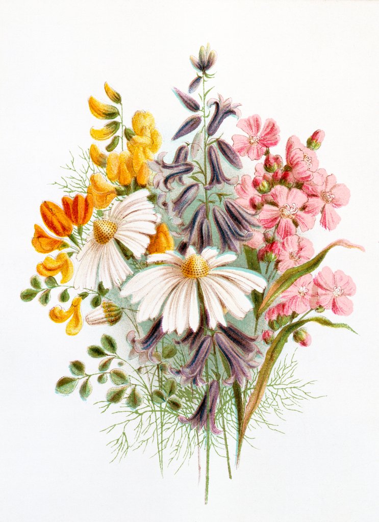 Detail of Wildflower bunch. London, England, late 19th century by Unknown