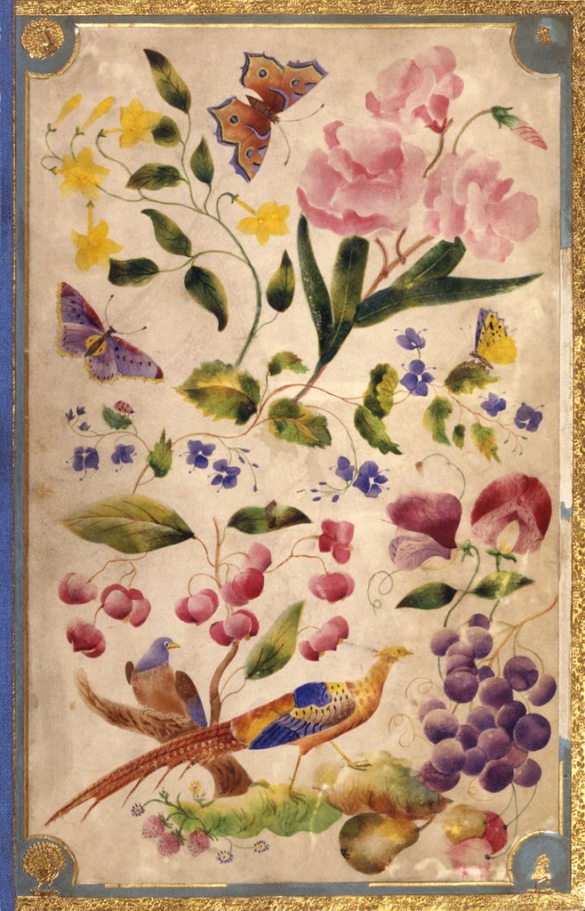 Detail of Front cover with flowers, fruits and exotic birds by Elizabeth Leveson-Gower