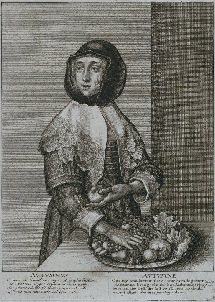 Detail of Autumn by Wenceslaus Hollar