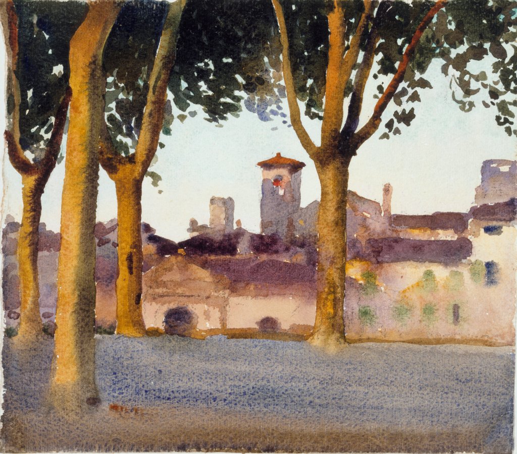 Detail of On the Walls, Lucca by Bulman