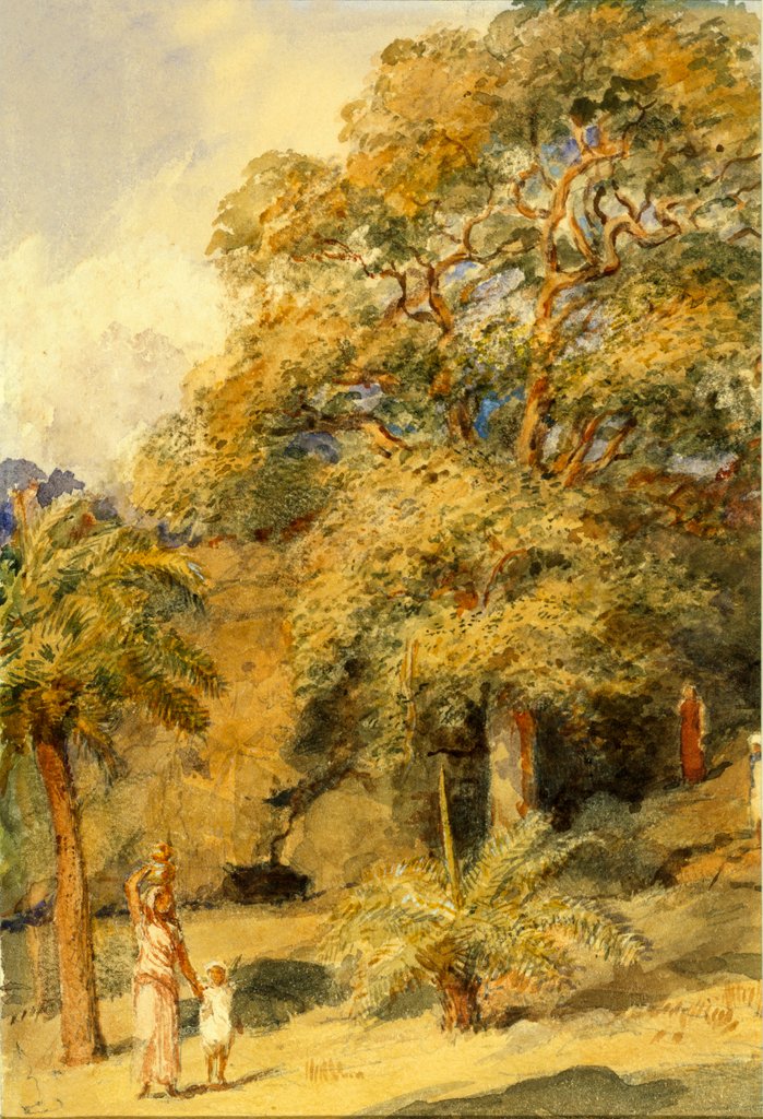 Detail of Tamarind and Wild Date Trees Beach Candy by William Carpenter