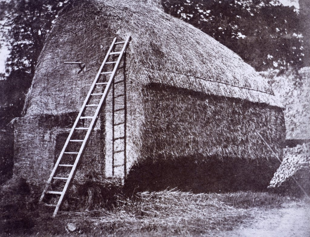 Detail of The Haystack by William Henry Fox Talbot