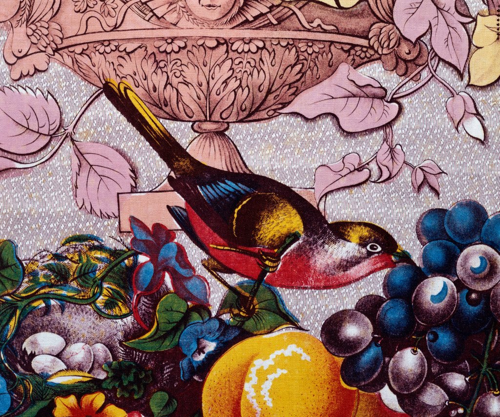Detail of The Birds of America by John James Audubon