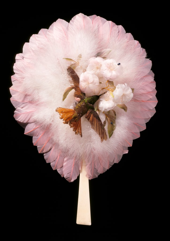 Detail of Circular feather fan. Brazil, 1880-1900 by M. & E. Natté(Melles)