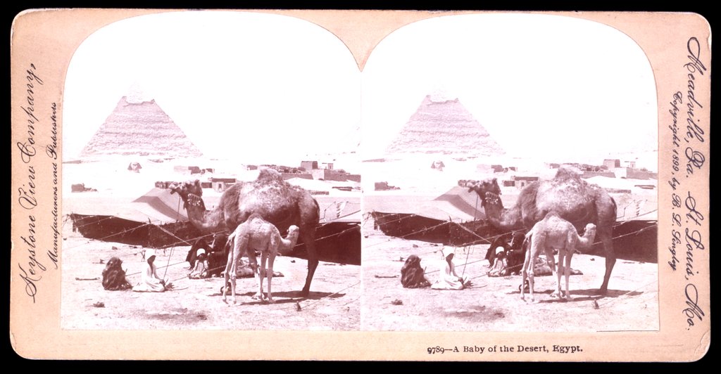 Detail of A baby of the desert by B. L. Singley