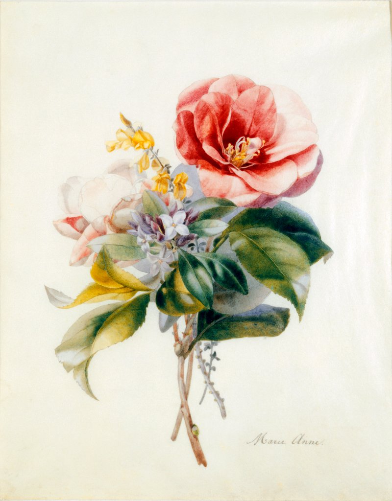 Detail of Camellia Bouquet from Flower Pieces by Unknown