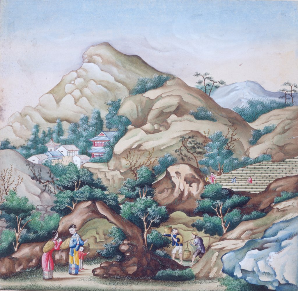 Detail of Transporting picked tea by Unknown
