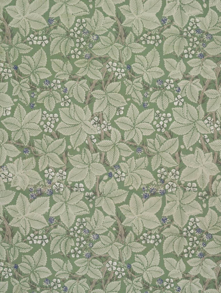 Detail of Bramble wallpaper by Kate Faulkner