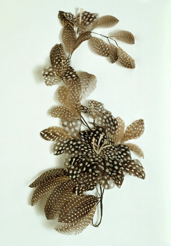 Detail of Feather ornament by Unknown