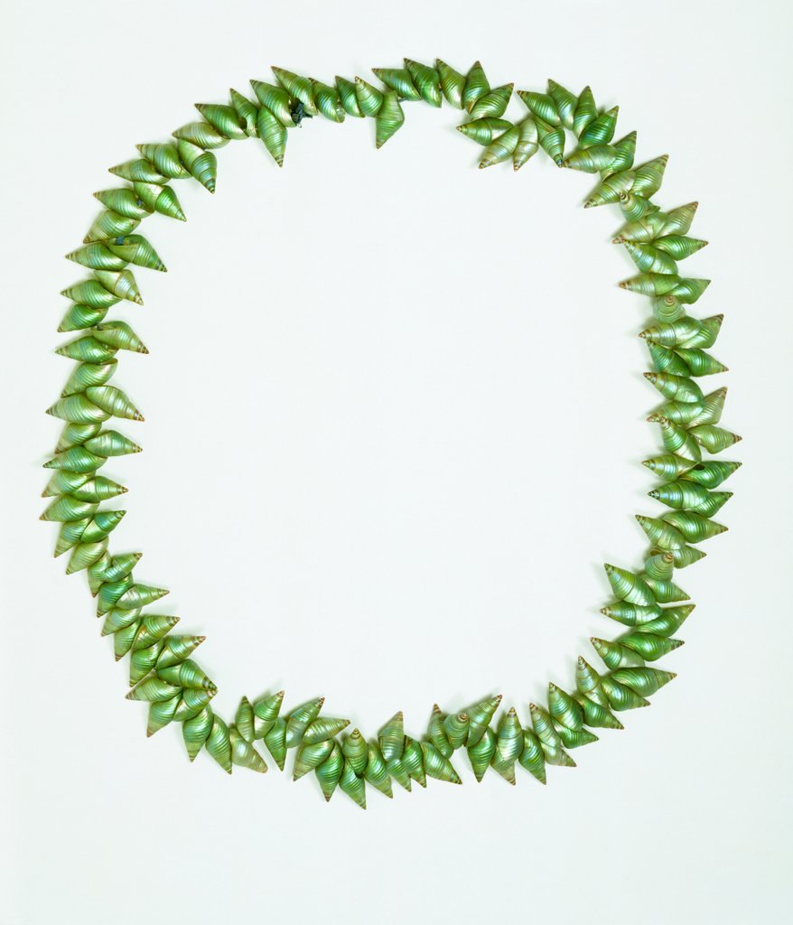 Detail of Necklace made from bright green Phasianotrochus eximius shells by unknown
