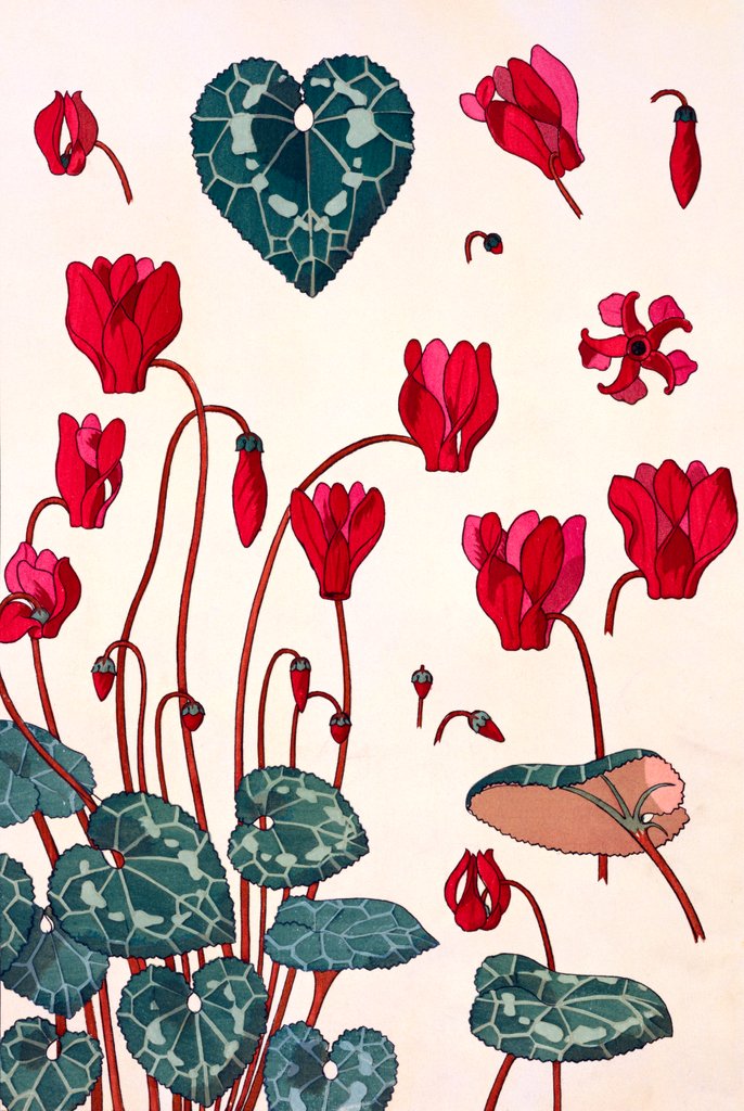 Detail of Cyclamen by Eugène Samuel Grasset