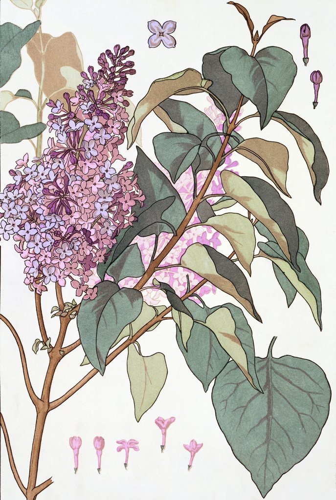 Detail of Lilac by Eugene Samuel Grasset