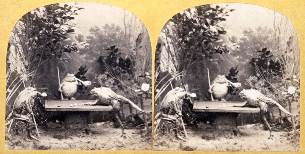Detail of Toads Playing Snooker in a Garden. England, 19th century by Unknown