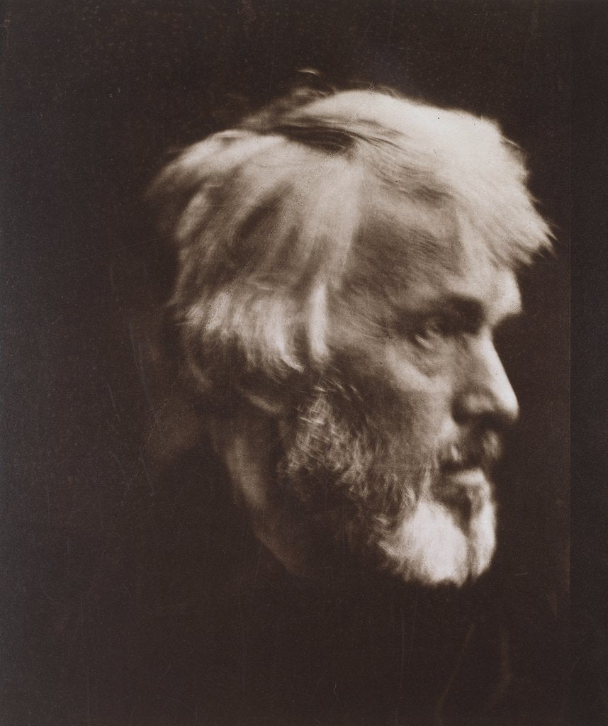 Detail of Thomas Carlyle by Julia Margaret Cameron