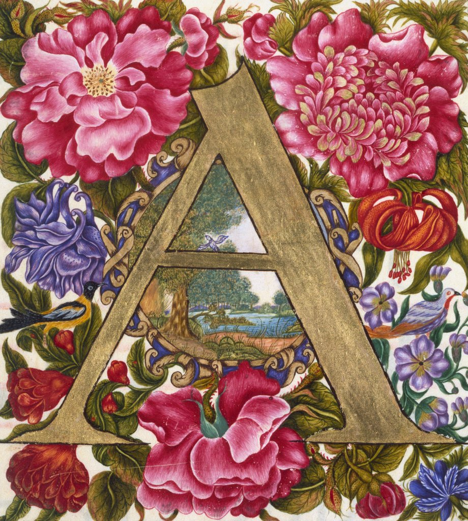 Detail of Initial A. Netherlands, 17th century by Unknown