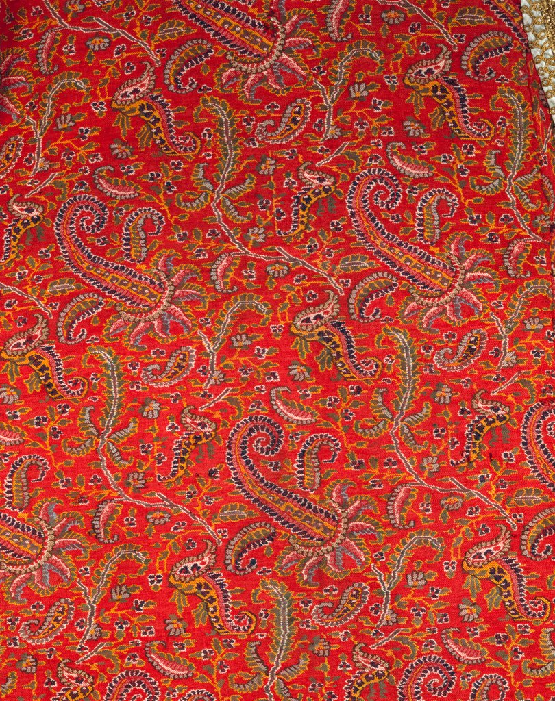 Detail of Textile design. Kashmir, India, 19th century by Unknown
