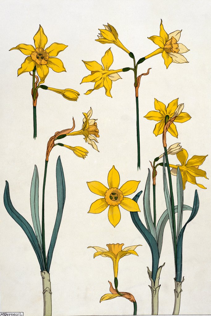 Detail of Jonquil by Eugène Samuel Grasset