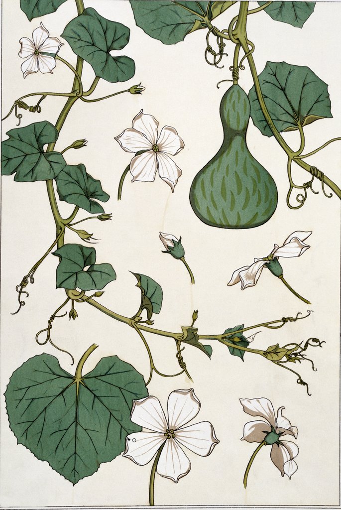 Detail of Gourd by Eugène Samuel Grasset