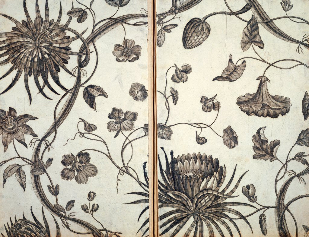 Detail of Wallpaper by Unknown
