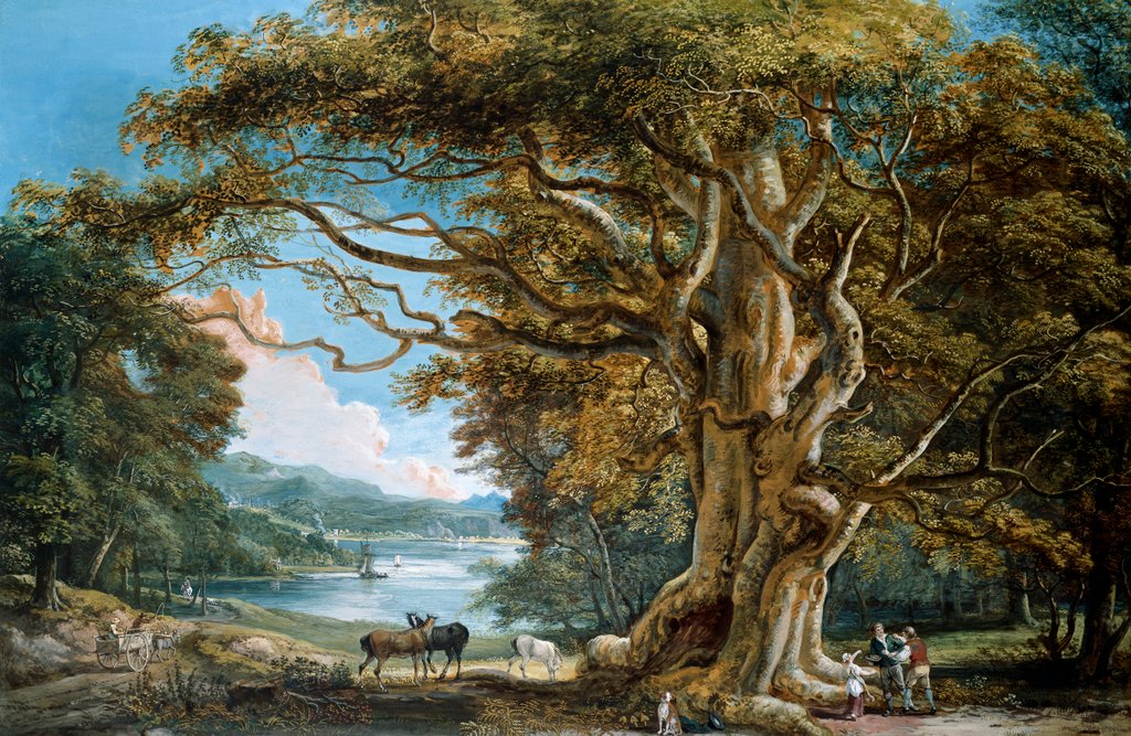Detail of An Ancient Beech Tree by Paul Sandby