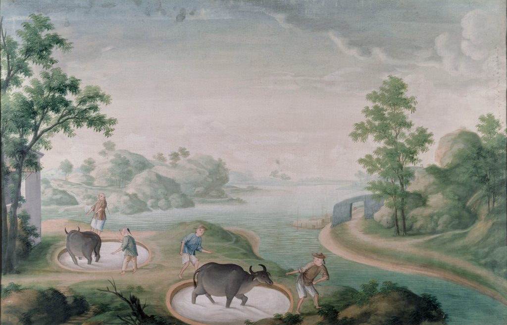 Detail of Oxen treading china stone in pits by Unknown