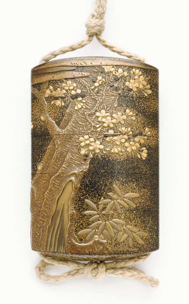 Detail of Inro depicting a Cherry tree by Kajikawa Bunryusai Tomohide