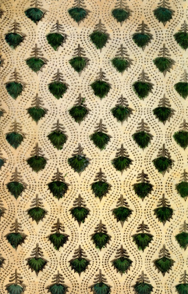 Detail of Wallpaper by Unknown