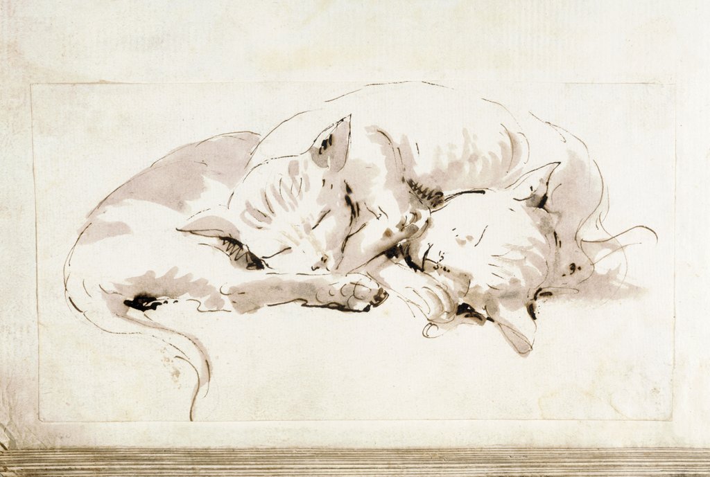 Detail of Two cats by Giovanni Battista Tiepolo